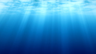 商品画像：水中から見た水面の光